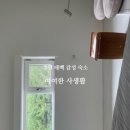 여여한사생활 이미지