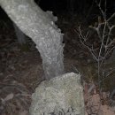 신덕평로 이미지