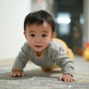 전자모기향 후기 – 냄새·지속력·안전성 전격 비교