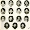 영양초교 이미지