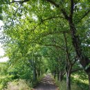 선두구동목욕탕 이미지