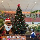 야자수 나라에서 만난 우리 | [오키나와] 22개월 아기랑 4박 5일 첫키나와 4 - 어린이나라 동물원/츄라유 온천/아메리칸 빌리지