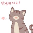 그레이스 고양이 병원 이미지