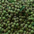 만춘농장 이미지