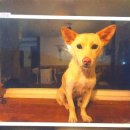 옥희농장 이미지