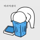 알스 상회