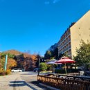 청평가족호텔 앤 캐비어파크 이미지