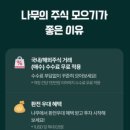 나무마케팅 이미지