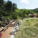 바우가든 이미지