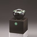 이수세원한의원 이미지