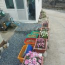 가나수산