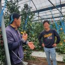 승훈농장 이미지