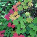 애코랜드 이미지