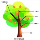 하나님을 원수 만든 WCC부산총회 이미지