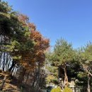 삼년산성송어장 이미지