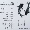 메기네어탕 이미지