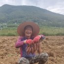 연원농장 이미지