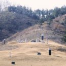 정장군