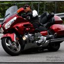 (주)자유투어 이미지