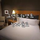 호텔 그랜드 | 브라질 고급호텔 그랜드 하얏트 상파울로 후기