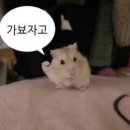오묘네일 - 익산시 고봉로 261-2 | 오묘네일