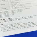숲속반디 이미지