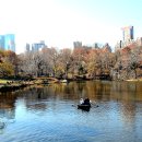 센트럴 파크(Grand central park) 이미지