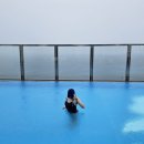 자연과한의원 | [다이어트] 3번째 이용 중인 자연과한의원 지방사약 솔직 후기