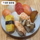 대전 용문동 초밥 맛집 초밥어선생