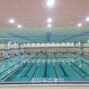 연천군청소년수련관 수영장 이미지