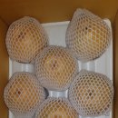 최고집농장 이미지