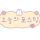 용토스트 이미지
