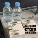 맘편한여행 | KTX 임산부 할인 총정리 맘편한 코레일 등록부터 특실 할인 후기까지