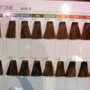 카키브라운, 매트브라운 / 애쉬블론드, 잿빛 염색 후기 / 강남역 미용실 추천 / 상한머리 염색 잘하는곳