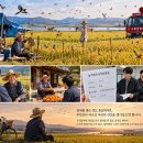 참새와 노인 이미지