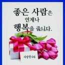 주정차단속-110 이미지