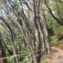 문현4동 체육공원 이미지