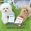 건강하개 | 강아지 영양 간식으로 딱! 건강하개 튼튼스틱 직접 먹여본 후기