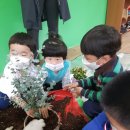 신광초등학교 병설유치원 이미지