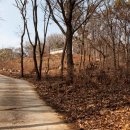 건축사사무소 놀 이미지