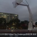 레드타이