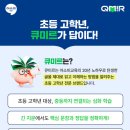 미르건축