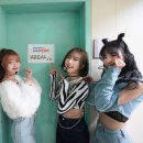 에이리얼 카카오 검색결과