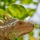 본앤머슬 | 충청남도 천안시 본앤머슬, 위치, 후기, 주차
