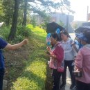 청춘캠프 이미지