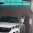 동두천 터틀 프렌즈 | 동두천 노터치 세차맛집, 터틀프렌즈에서 웨딩카 준비 완료!