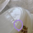홍당무빈티지샵 이미지