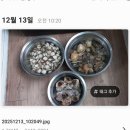 우리집 베란다 수족관 이미지