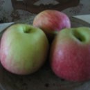 믿음반찬 이미지