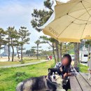 제이제이소프트 | 양양죽도해변서핑 동산해변서핑 제이제이서프 수심 얕고 한적한 곳